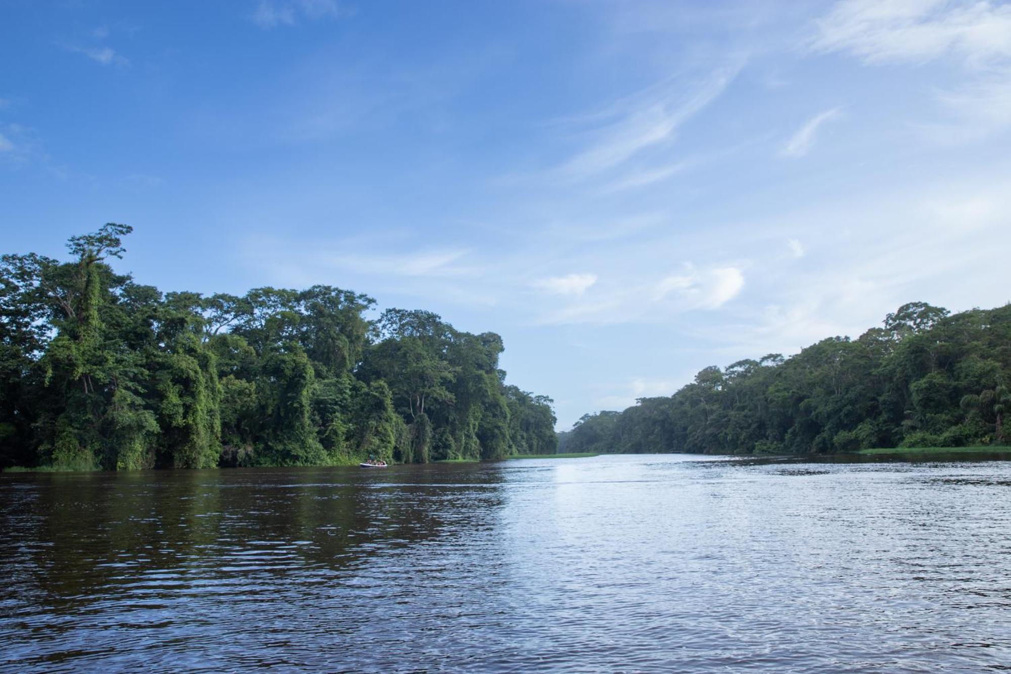 Pachira Lodge Tortuguero Εξωτερικό φωτογραφία