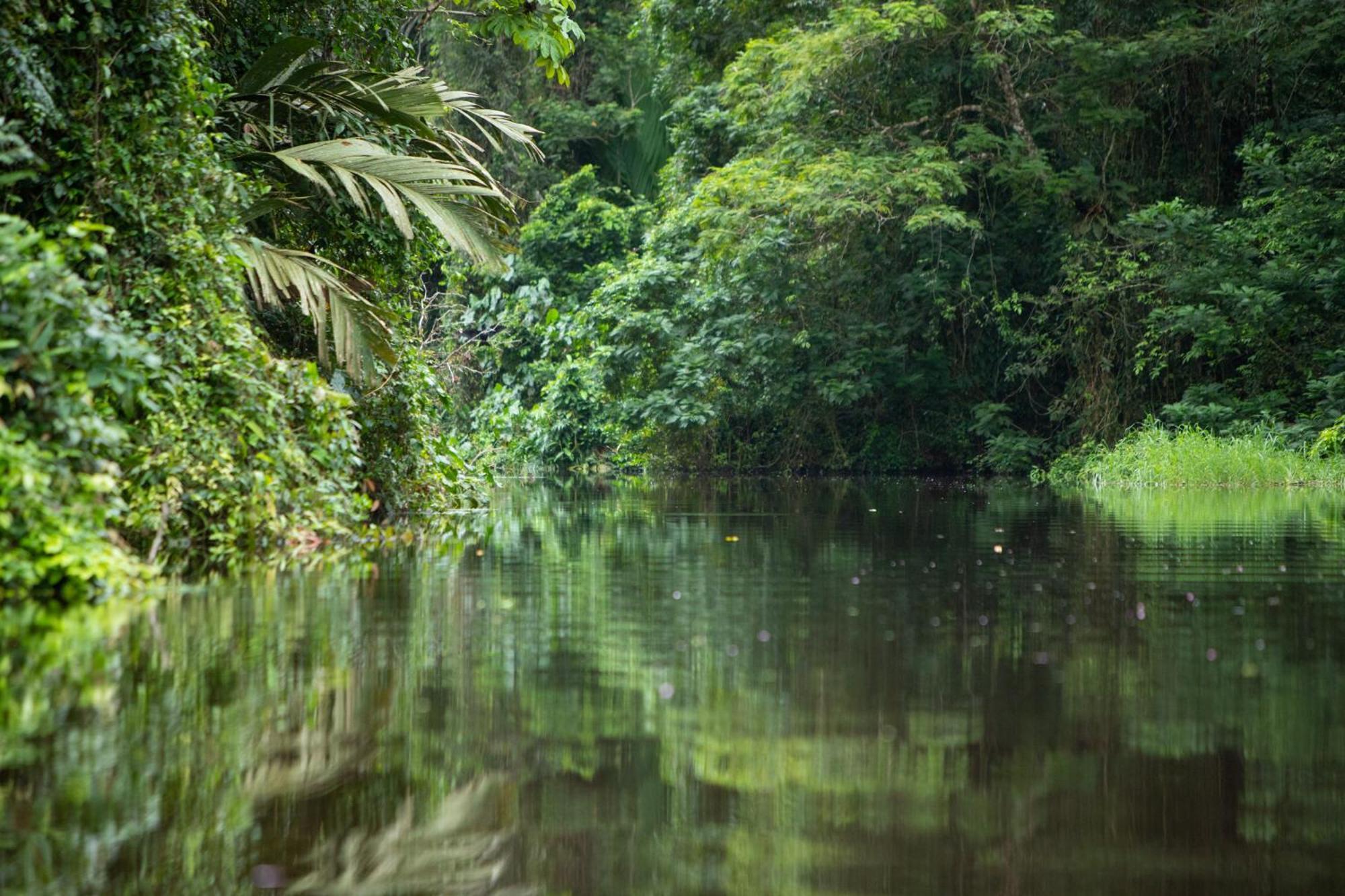 Pachira Lodge Tortuguero Εξωτερικό φωτογραφία