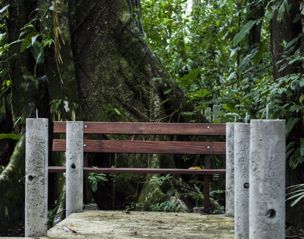 Pachira Lodge Tortuguero Εξωτερικό φωτογραφία