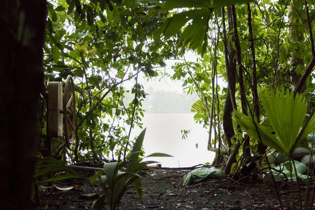 Pachira Lodge Tortuguero Εξωτερικό φωτογραφία