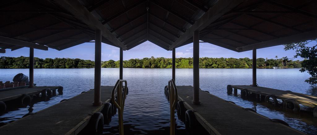 Pachira Lodge Tortuguero Εξωτερικό φωτογραφία