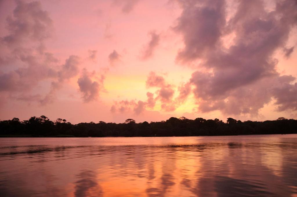 Pachira Lodge Tortuguero Εξωτερικό φωτογραφία