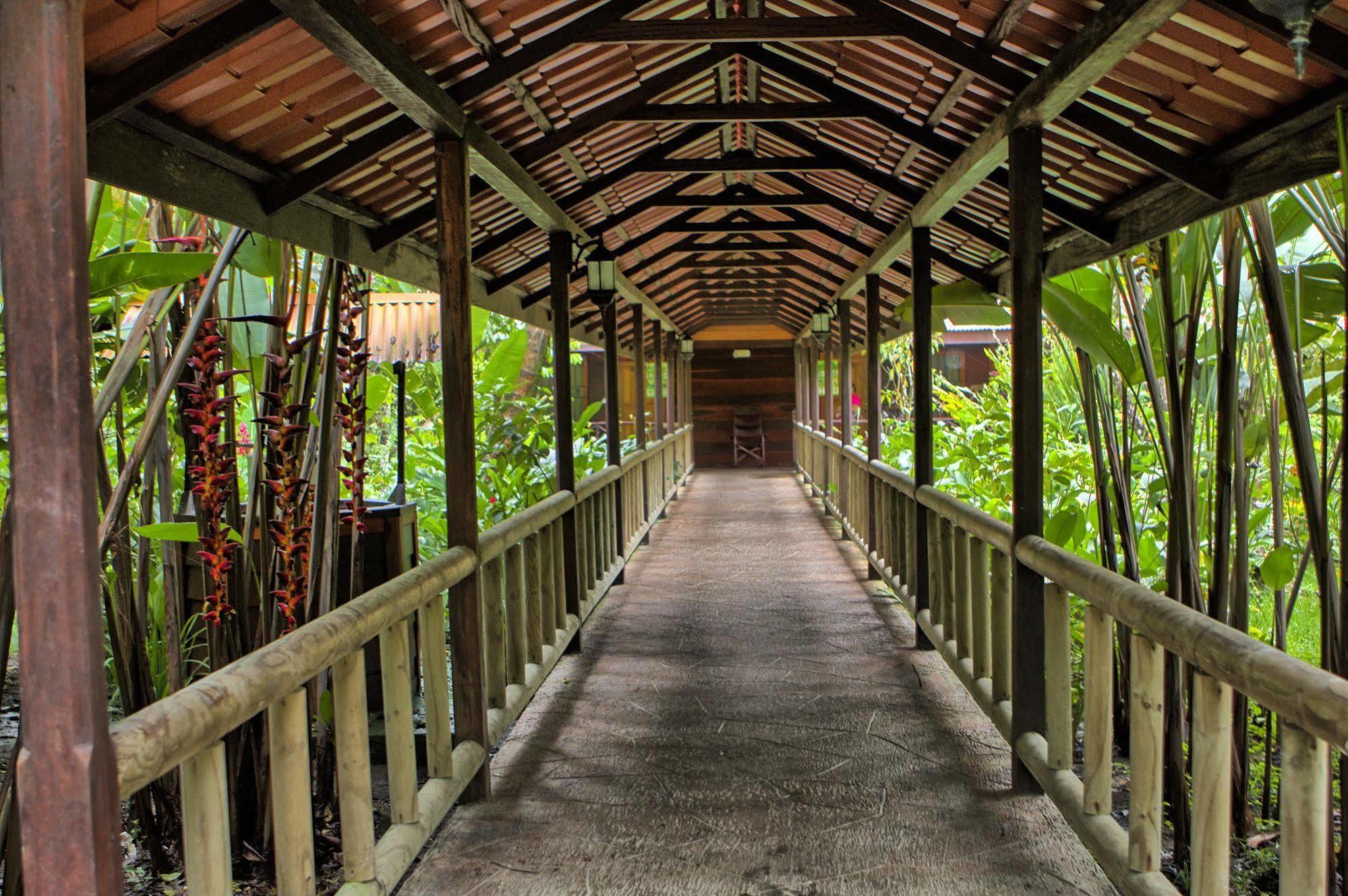 Pachira Lodge Tortuguero Εξωτερικό φωτογραφία